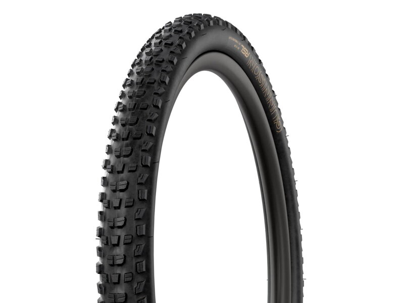 Bontrager Plášť MTB Gunnison RSL XT TLR 29x2.4 černý